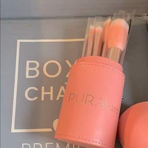 Pur makeup brushes set